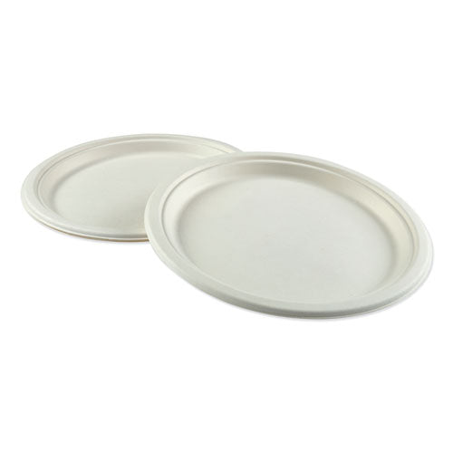 Bagasse Dinnerware, Plate, 10" Dia, White, 500-carton