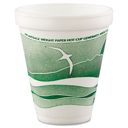 Horizon Hot-cold Foam Drinking Cups, 12 Oz, Green-white, 25-bag, 40 Bags-carton