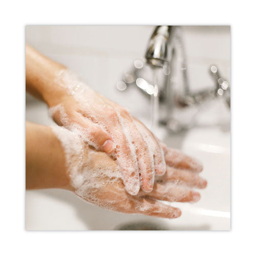 Basics Mp Free Liquid Hand Soap, Unscented, 3.78 L Refill Bottle, 4-carton