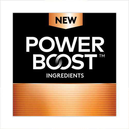 Power Boost Coppertop Alkaline Aa Batteries, 10-pack